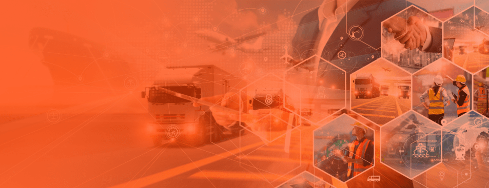 Supply chain visualized